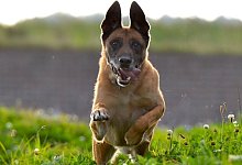 motion-recording-672591_1280 - 1 - Symbolfoto: Pixabay