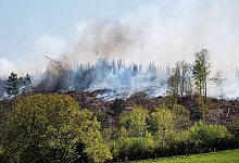 Waldbrand - Foto: Markus Kl&uuml;mper/dpa