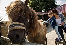 Familienausflug zum Pferdestall - Christin Klose/dpa-tmn