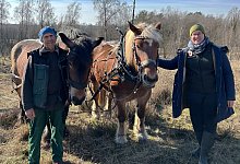 ruckepferde - Kreis Lippe