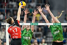 USC M&uuml;nster - Dresdner SC - Uwe Anspach/dpa