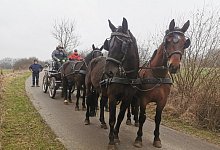 nl_ba_MertenViersp&auml;nner03 - Sylvia Frevert