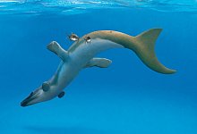 Urzeit-Krokodile hatten glatte Haut - Foto: Dinosaurier Museum Altm&uuml;hltal/dpa