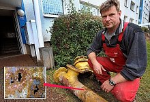 Gro&szlig; wie ein Fingernagel - FOTOS: RAIMUND VORNB&Auml;UMEN