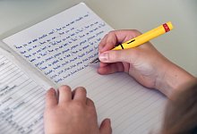 Protest gegen Englisch-Pr&uuml;fung - dpa