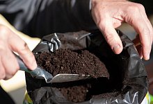 Blumenerde - Foto: Andrea Warnecke/dpa-tmn