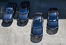 Dienstwagen von Politikern - Jens Kalaene/dpa