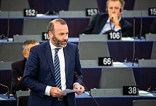Manfred Weber - Foto: Philipp von Ditfurth