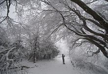 Schnee im Taunus - Foto: Boris Roessler/dpa