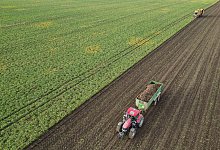 Landwirtschaft - Jan Woitas/dpa