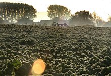 71837134_10157522772937629_899525718407380992_o-1 - Vera Gerstendorf-Welle