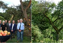 Will Lippern die Streuobstwiese schmackhaft machen - Marianne Schwarzer