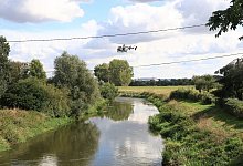 Krokodil in Unstrut? - Foto: WichmannTV/dpa-Zentralbild/dpa