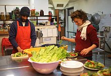 Leben und Arbeiten in einem Kibbuz - Kibbutz Movement - Volunteers from abroad Program/dpa-tmn
