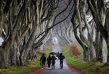 Dark Hedges - Liam Mcburney/Press Association/dpa