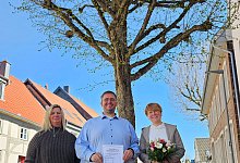 pm_baumpaten - 1 - Alte Hansestadt Lemgo