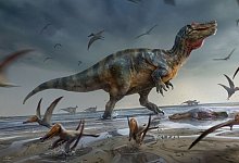 Die undatierte, grafische Darstellung zeigt einen riesigen Saurier. - Artwork: ??Anthony Hutchings/Eurekalert/dpa