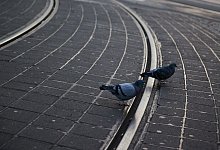 Warnstreiks - Joerg Carstensen/dpa