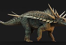 Ankylosaurier Spicomellus afer - Matthew Dempsey/-/dpa