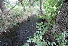 Bega 1 - Jens Rademacher