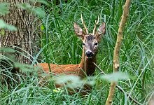 Michael Zalecki - Alle Rechte vorbehalten all rights reserved