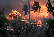 Brände auf Maui - Matthew Thayer/The Maui News via AP/dpa