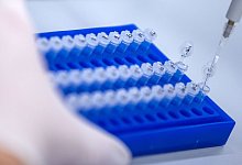 Sequenzierlabor f&uuml;r Corona-Varianten - Jens B&uuml;ttner/dpa-Zentralbild/dpa