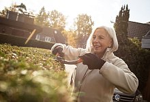 Eine ältere Dame schneidet eine Hecke - Christin Klose/dpa-tmn