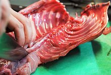 Kochkurs mit Nutriafleisch - Ann-Marie Utz/dpa/Archivbild