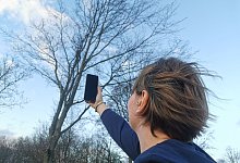 Mobilfunknetz Barntrup - Sylvia Frevert