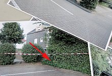 Geb&uuml;sch - Patrick Menzel