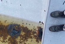 thumbnail_image1 - 1 - Privat