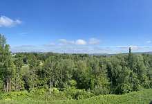 Tonkuhlenwäldchen - Mischa Gutknecht-Stöhr/Fraunhofer Institut