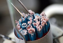 Samenbank - Foto: Uli Deck/dpa