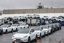 Tesla Model Y - Patrick Pleul/dpa