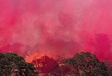 Waldbr&auml;nde in Kalifornien - Noah Berger/AP/dpa