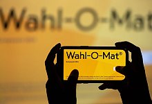 Wahlen - Illustration - Sebastian Kahnert/dpa