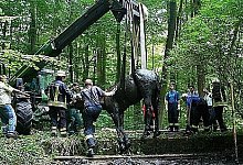 Spektakul&auml;re Rettungsaktion im Wald bei Bad Driburg - Bad Driburg