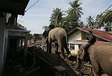 &Uuml;berschwemmungen in Indonesien - Ahyar Tarmizi/AP/dpa