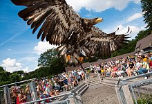 Adlerwarte Berlebeck - Adlerwarte Berlebeck