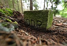 Grünes Band - Martin Schutt/dpa