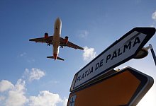 Flugzeug - Clara Margais/dpa