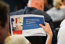 Einstufungsvermerk zur AfD Brandenburg als rechtsextrem - Britta Pedersen/dpa