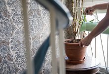 Der h&auml;ufigste Fehler beim Gie&szlig;en der Pflanzen - Christin Klose/dpa-tmn