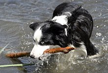 Gefahren und Kondition - Foto: Maurizio Gambarini