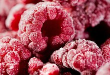 Himbeeren - Foto: Franziska Gabbert/dpa-tmn