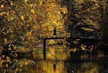 Sonne in Köln - Rolf Vennenbernd/dpa