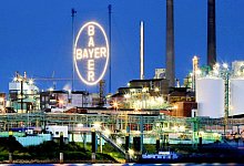 Bayer in Leverkusen - Foto: Oliver Berg/dpa