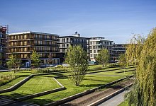 BUGA in Heilbronn - Foto: Gaby H&ouml;ss/BUGA Heilbronn 2019 GmbH/dpa-tmn