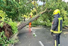 Gewitter in Berlin und Brandenburg - Jens Dudziak/dpa
